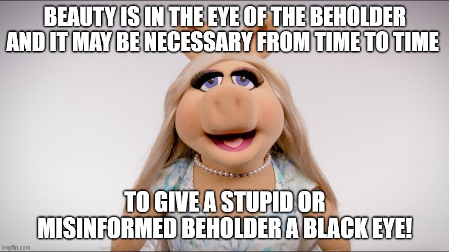 Miss Piggy Beauty | BEAUTY IS IN THE EYE OF THE BEHOLDER AND IT MAY BE NECESSARY FROM TIME TO TIME; TO GIVE A STUPID OR MISINFORMED BEHOLDER A BLACK EYE! | image tagged in miss piggy | made w/ Imgflip meme maker