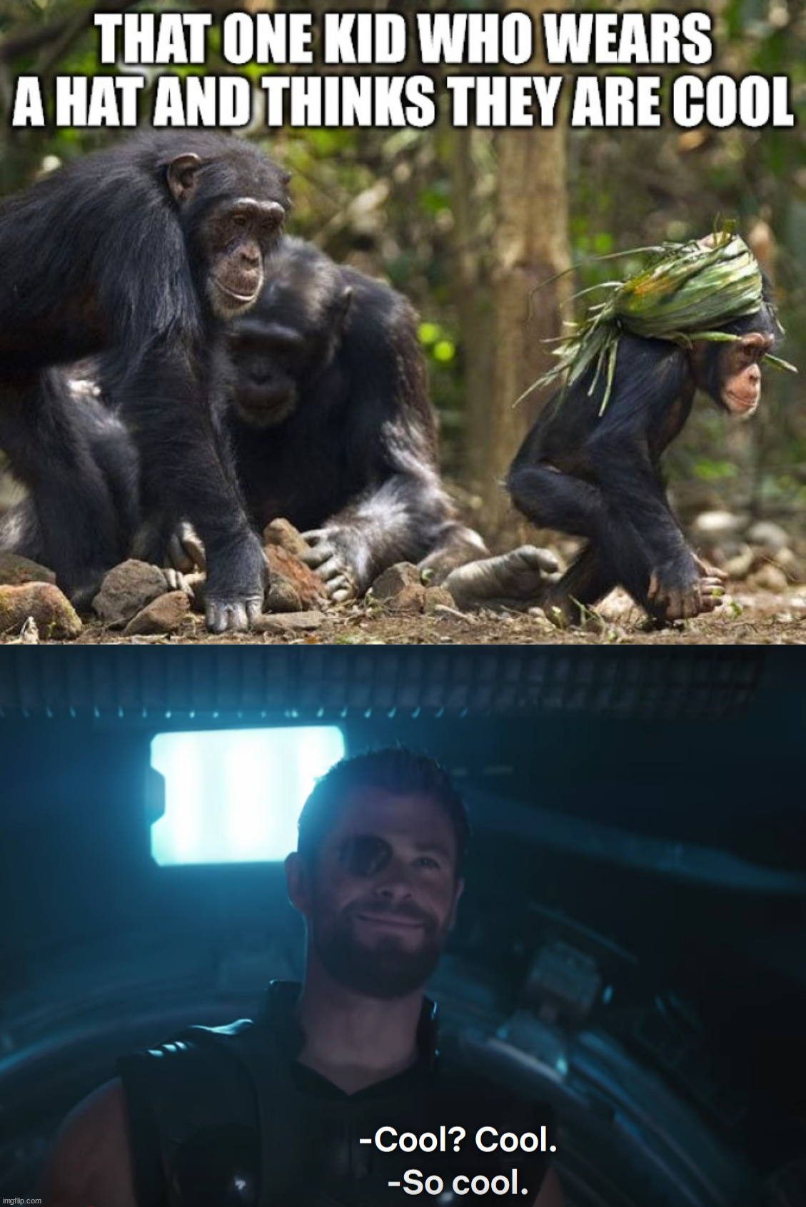 Trying to look cool. | image tagged in thor so cool,monkeys,hats | made w/ Imgflip meme maker
