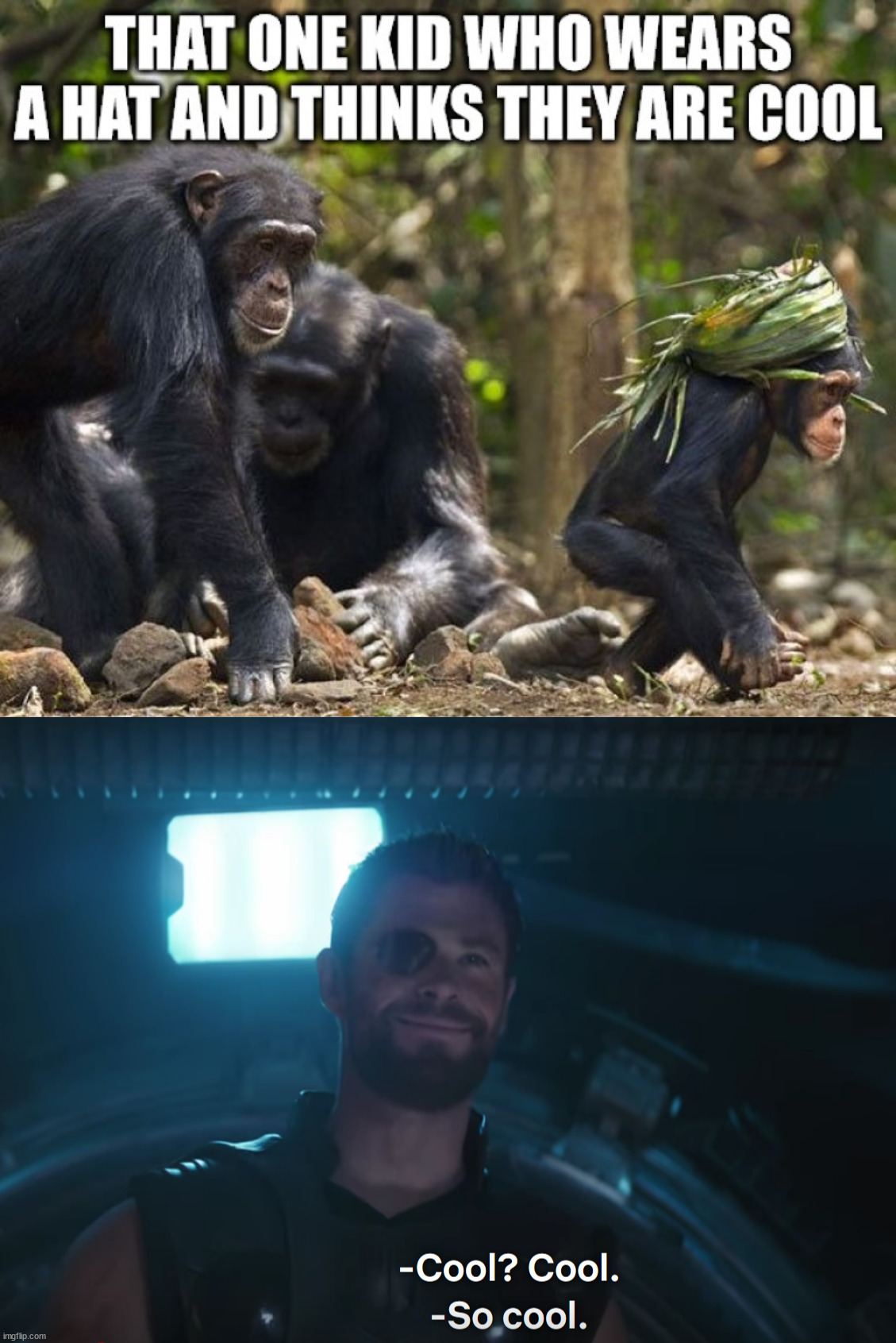 two monkeys Memes & GIFs - Imgflip