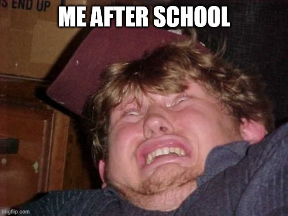 WTF Meme | ME AFTER SCHOOL | image tagged in memes,wtf | made w/ Imgflip meme maker