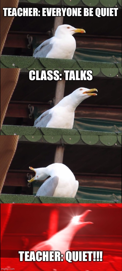 This is what happens in 3rd grade classrooms | TEACHER: EVERYONE BE QUIET; CLASS: TALKS; TEACHER: QUIET!!! | image tagged in memes,inhaling seagull | made w/ Imgflip meme maker
