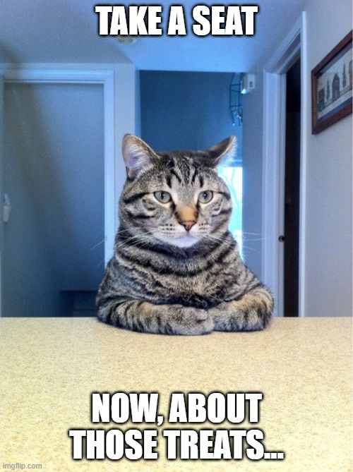 Take A Seat Cat | TAKE A SEAT; NOW, ABOUT THOSE TREATS... | image tagged in memes,take a seat cat | made w/ Imgflip meme maker