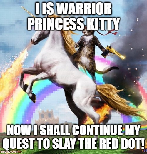 Kitty warrior princess | I IS WARRIOR PRINCESS KITTY; NOW I SHALL CONTINUE MY QUEST TO SLAY THE RED DOT! | image tagged in memes,red dot | made w/ Imgflip meme maker