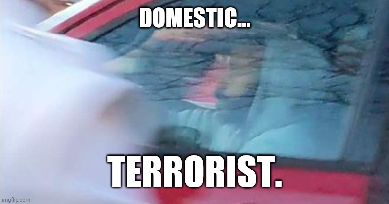 Waiting on the FBI to do something. | DOMESTIC... TERRORIST. | image tagged in memes | made w/ Imgflip meme maker