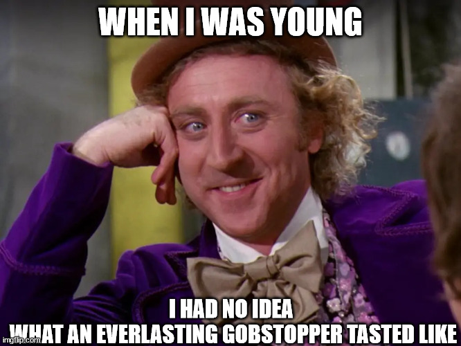 WHEN I WAS YOUNG I HAD NO IDEA 

WHAT AN EVERLASTING GOBSTOPPER TASTED LIKE | made w/ Imgflip meme maker