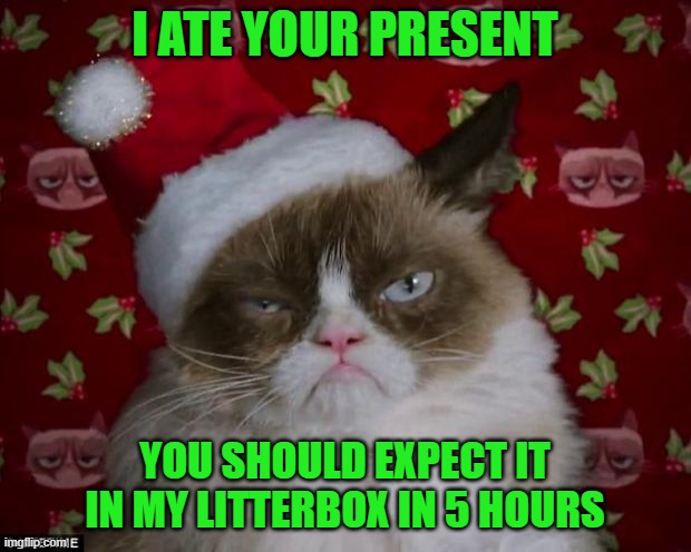 Grumpy Cat Christmas | I ATE YOUR PRESENT; YOU SHOULD EXPECT IT IN MY LITTERBOX IN 5 HOURS | image tagged in grumpy cat | made w/ Imgflip meme maker
