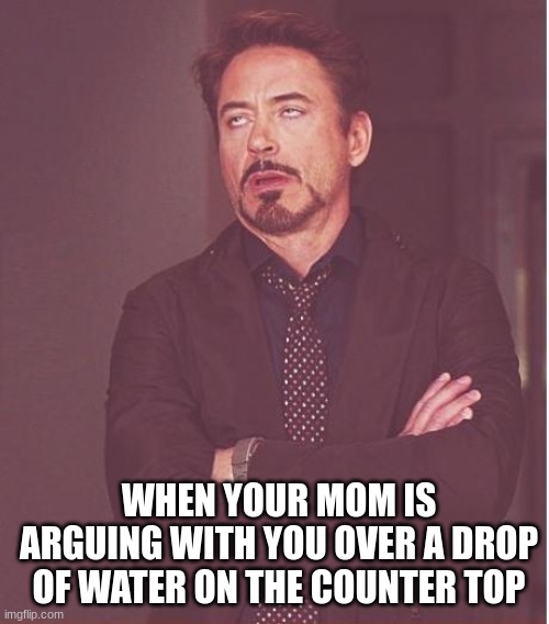 i don't have any ideas for a title please help me | WHEN YOUR MOM IS ARGUING WITH YOU OVER A DROP OF WATER ON THE COUNTER TOP | image tagged in memes,face you make robert downey jr | made w/ Imgflip meme maker