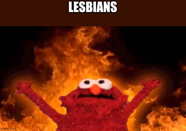 elmo fire | LESBIANS | image tagged in elmo fire | made w/ Imgflip meme maker
