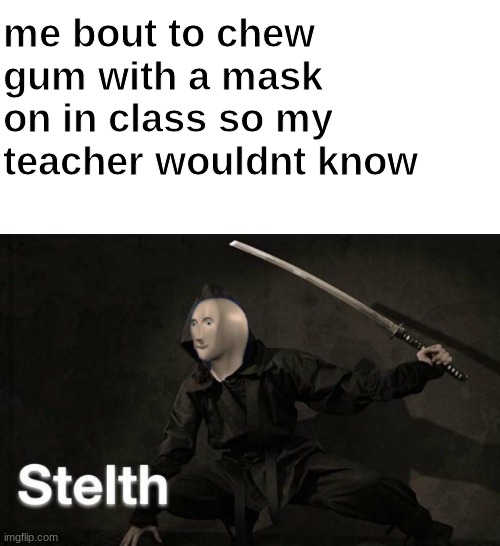 ninja 1000 | me bout to chew gum with a mask on in class so my teacher wouldnt know | image tagged in stelth | made w/ Imgflip meme maker