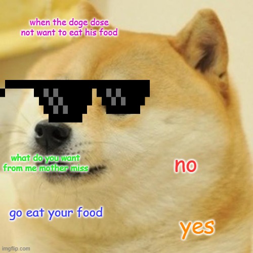 Doge Meme | when the doge dose not want to eat his food; no; what do you want from me mother miss; go eat your food; yes | image tagged in memes,doge | made w/ Imgflip meme maker