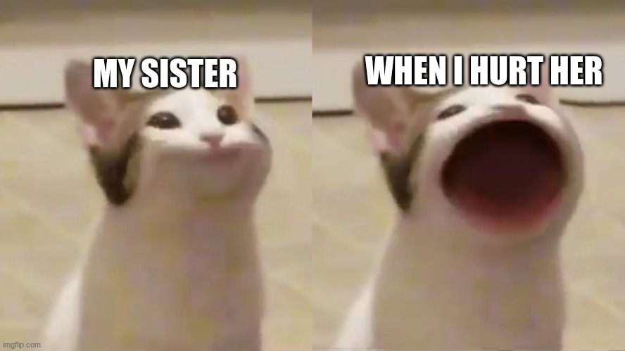 My siblings when they get hurt | WHEN I HURT HER; MY SISTER | image tagged in my siblings when they get hurt | made w/ Imgflip meme maker