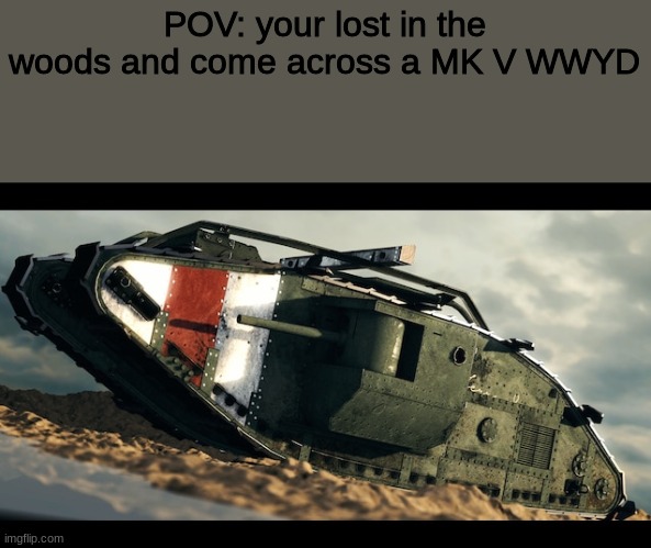 WWYD | POV: your lost in the woods and come across a MK V WWYD | image tagged in roleplaying | made w/ Imgflip meme maker