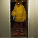 BIG BIRD KICKING DOWN DOOR Blank Meme Template