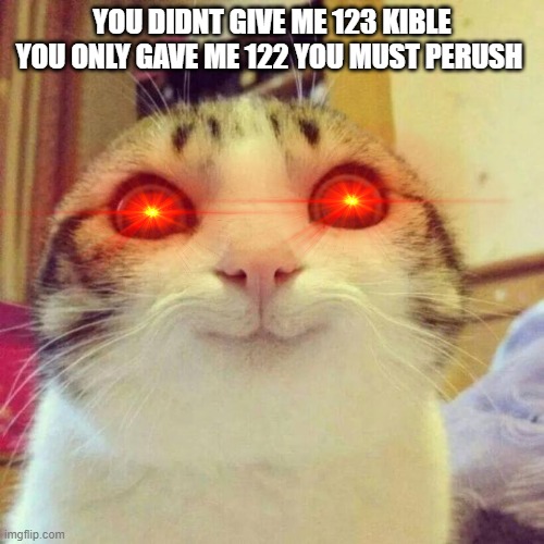 this is funny :) | YOU DIDNT GIVE ME 123 KIBLE YOU ONLY GAVE ME 122 YOU MUST PERUSH | image tagged in memes,smiling cat | made w/ Imgflip meme maker