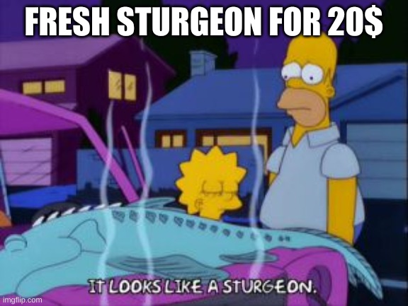 link to the stream i made is in the comments | FRESH STURGEON FOR 20$ | image tagged in yes | made w/ Imgflip meme maker