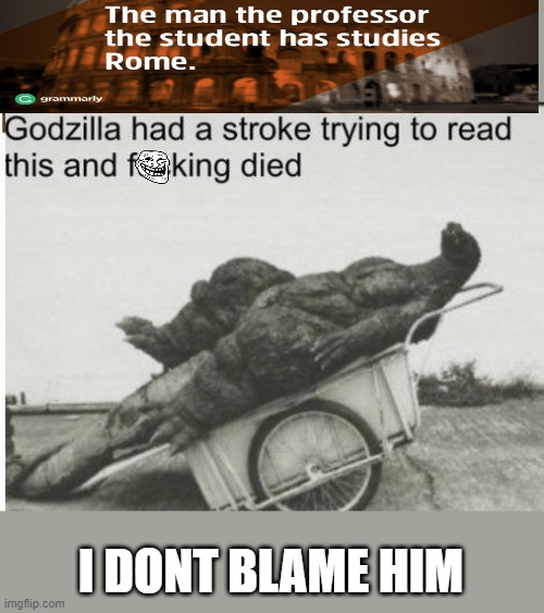 Godzilla had a stroke because this sentence sucks | I DONT BLAME HIM | image tagged in godzilla | made w/ Imgflip meme maker