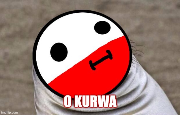 awkward moment polandball | O KURWA | image tagged in awkward moment polandball | made w/ Imgflip meme maker