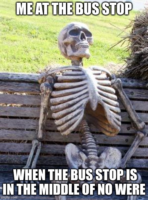 Waiting Skeleton | ME AT THE BUS STOP; WHEN THE BUS STOP IS IN THE MIDDLE OF NO WERE | image tagged in memes,waiting skeleton | made w/ Imgflip meme maker