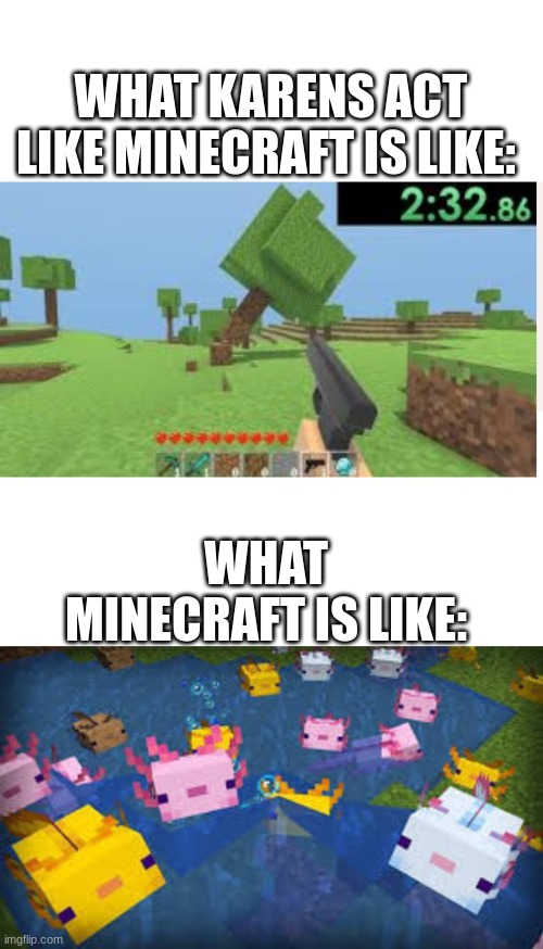 Minecraft is good | WHAT KARENS ACT LIKE MINECRAFT IS LIKE:; WHAT MINECRAFT IS LIKE: | image tagged in blank white template | made w/ Imgflip meme maker