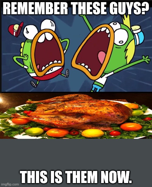 Image tagged in breadwinner ducks drama Imgflip