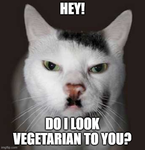 Nazi Cat | HEY! DO I LOOK VEGETARIAN TO YOU? | image tagged in nazi cat | made w/ Imgflip meme maker