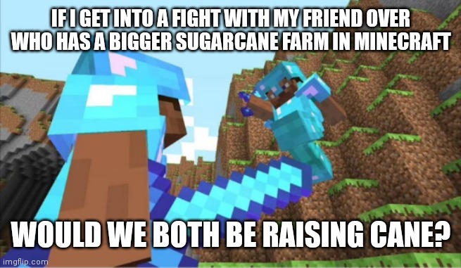 IF I GET INTO A FIGHT WITH MY FRIEND OVER WHO HAS A BIGGER SUGARCANE FARM IN MINECRAFT; WOULD WE BOTH BE RAISING CANE? | image tagged in minecraft,sugarcane farm,pvp,bad joke | made w/ Imgflip meme maker