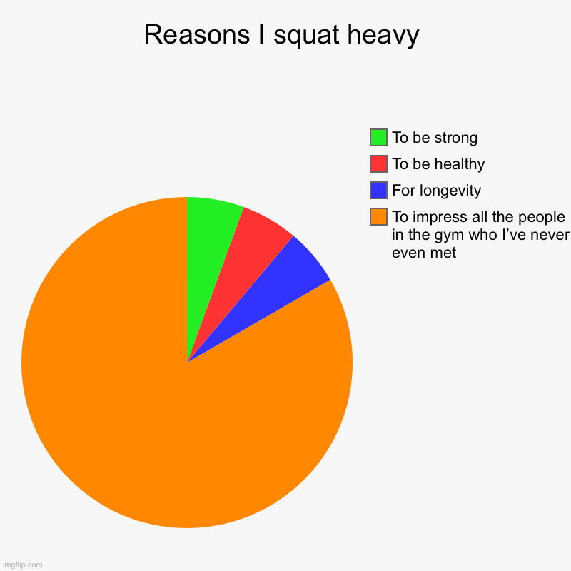 Reasons I squat heavy | Reasons I squat heavy | To impress all the people in the gym who I’ve never even met , For longevity , To be healthy, To be strong | image tagged in charts,pie charts | made w/ Imgflip chart maker