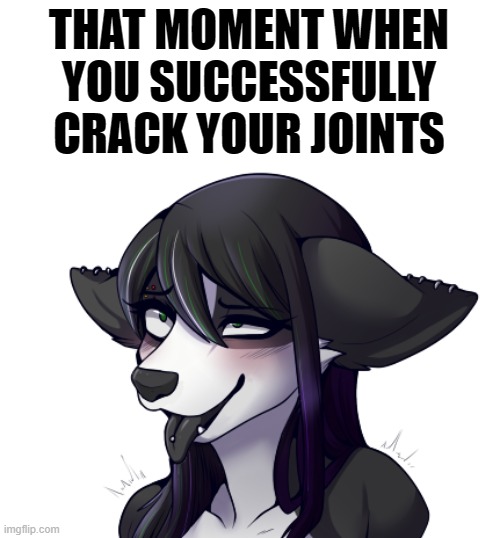 Ah, That feels nice | THAT MOMENT WHEN YOU SUCCESSFULLY CRACK YOUR JOINTS | image tagged in joint,memes,funny,furry,ahegao | made w/ Imgflip meme maker