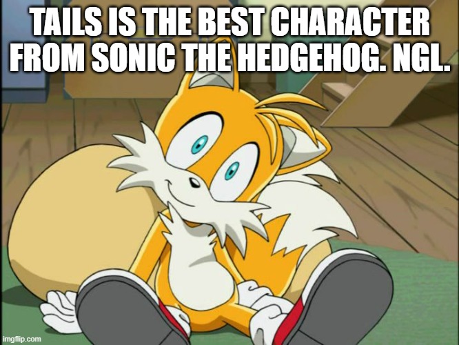 Tails | TAILS IS THE BEST CHARACTER FROM SONIC THE HEDGEHOG. NGL. | image tagged in tails | made w/ Imgflip meme maker