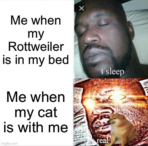 Sleeping Shaq Meme | Me when my Rottweiler is in my bed; Me when my cat is with me | image tagged in memes,sleeping shaq | made w/ Imgflip meme maker