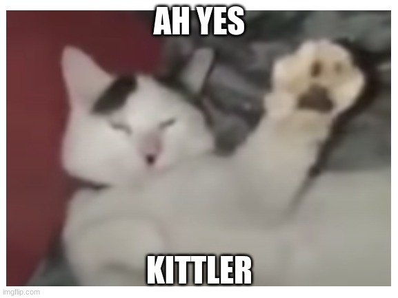 Interesting | AH YES; KITTLER | image tagged in memes,cat,cats,funny cats,funny cat memes | made w/ Imgflip meme maker