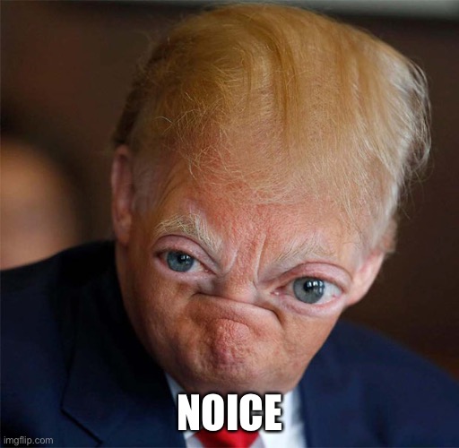 Waw noice very noice | NOICE | image tagged in waw noice very noice | made w/ Imgflip meme maker