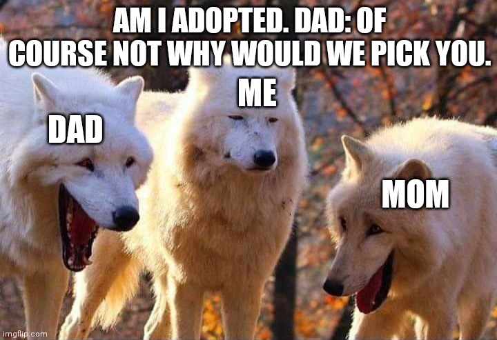 Laughing wolf | AM I ADOPTED. DAD: OF COURSE NOT WHY WOULD WE PICK YOU. ME; DAD; MOM | image tagged in laughing wolf | made w/ Imgflip meme maker
