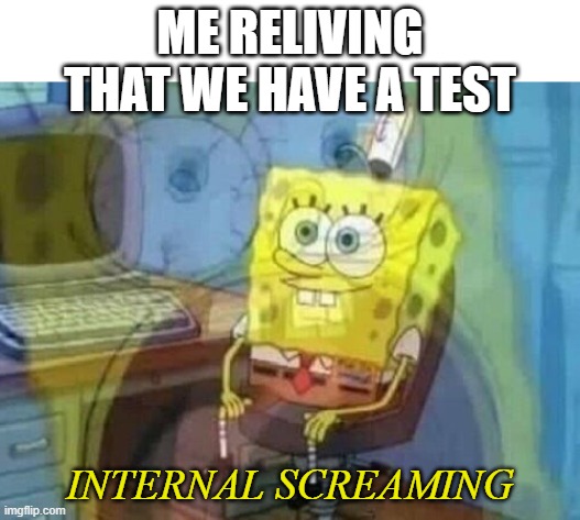 Internal screaming | ME RELIVING THAT WE HAVE A TEST; INTERNAL SCREAMING | image tagged in internal screaming | made w/ Imgflip meme maker