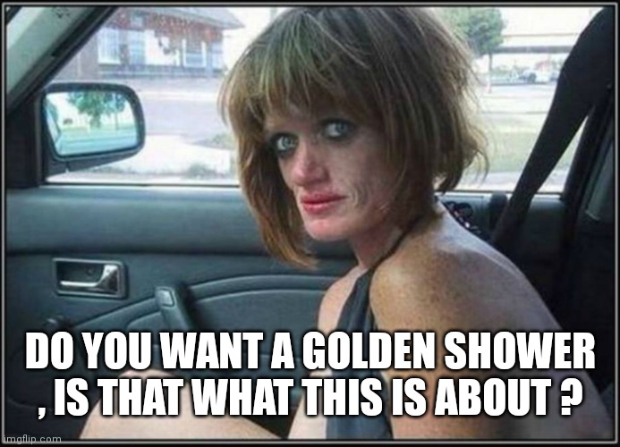 Ugly meth heroin addict Prostitute hoe in car | DO YOU WANT A GOLDEN SHOWER , IS THAT WHAT THIS IS ABOUT ? | image tagged in ugly meth heroin addict prostitute hoe in car | made w/ Imgflip meme maker