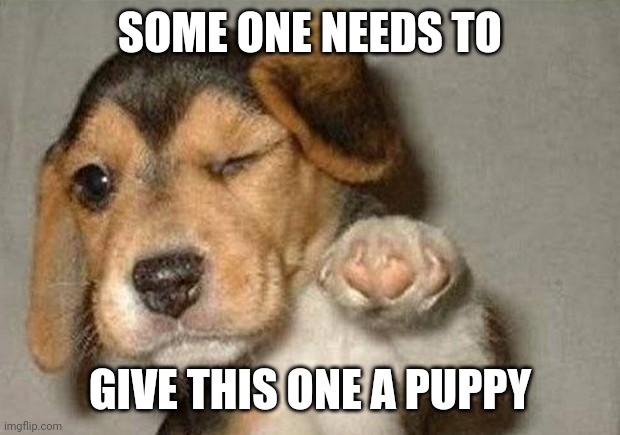 Winking Dog | SOME ONE NEEDS TO GIVE THIS ONE A PUPPY | image tagged in winking dog | made w/ Imgflip meme maker