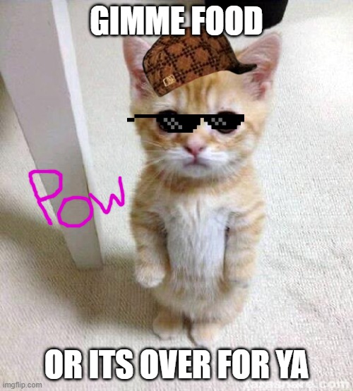GIMME FOOD. NOW. | GIMME FOOD; OR ITS OVER FOR YA | image tagged in memes,cute cat | made w/ Imgflip meme maker