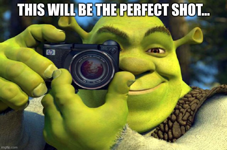 shrek camera | THIS WILL BE THE PERFECT SHOT... | image tagged in shrek camera | made w/ Imgflip meme maker