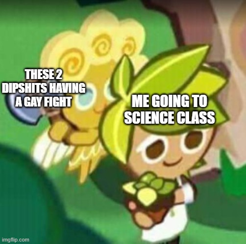 GAY FIGHT | ME GOING TO SCIENCE CLASS; THESE 2 DIPSHITS HAVING A GAY FIGHT | image tagged in chop chop gay gay | made w/ Imgflip meme maker