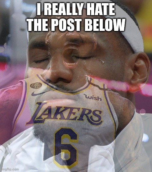 Crying LeBron James | I REALLY HATE THE POST BELOW | image tagged in crying lebron james | made w/ Imgflip meme maker