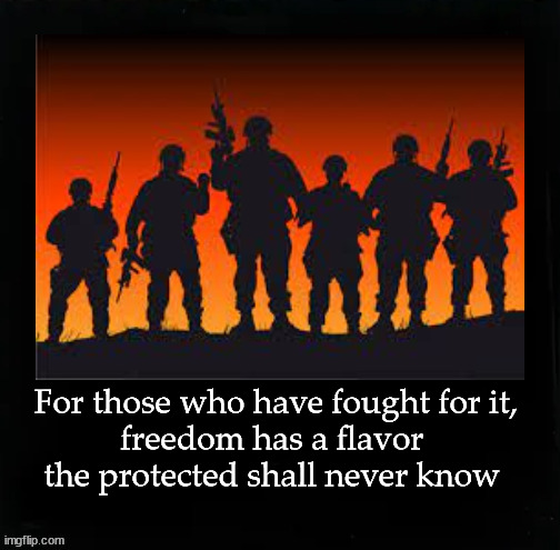 Freedom, for those who have fought for it .... | For those who have fought for it,
freedom has a flavor 
the protected shall never know | image tagged in freedom,veterans | made w/ Imgflip meme maker