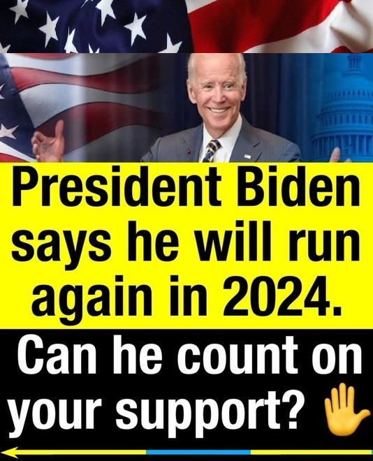 Re-elect President Joe Biden 2024 Blank Meme Template