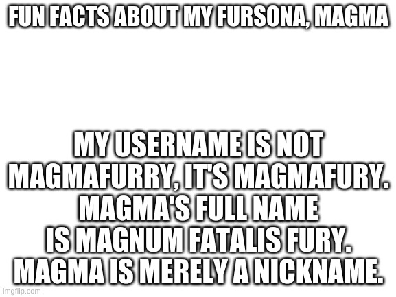 Magnum! | FUN FACTS ABOUT MY FURSONA, MAGMA; MY USERNAME IS NOT MAGMAFURRY, IT'S MAGMAFURY. MAGMA'S FULL NAME IS MAGNUM FATALIS FURY. MAGMA IS MERELY A NICKNAME. | image tagged in blank white template | made w/ Imgflip meme maker