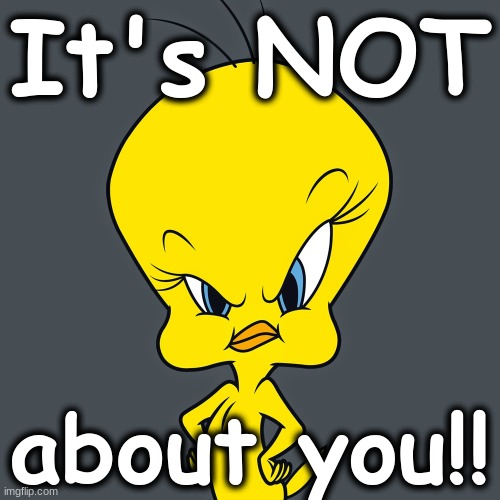 It's NOT about you!!! | It's NOT; about you!! | image tagged in tweety bird | made w/ Imgflip meme maker