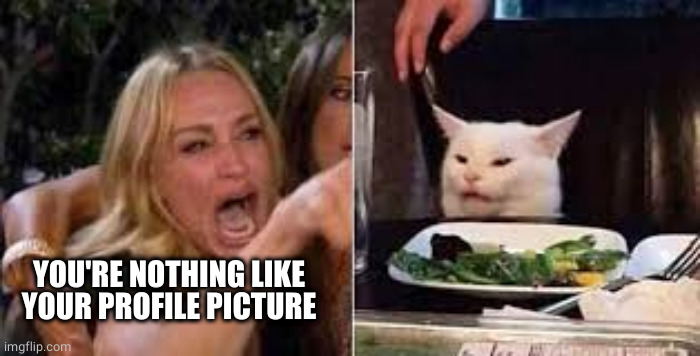 Woman shouting at cat | YOU'RE NOTHING LIKE YOUR PROFILE PICTURE | image tagged in woman shouting at cat | made w/ Imgflip meme maker