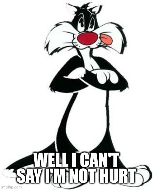 Sylvester the Cat | WELL I CAN'T SAY I'M NOT HURT | image tagged in sylvester the cat | made w/ Imgflip meme maker