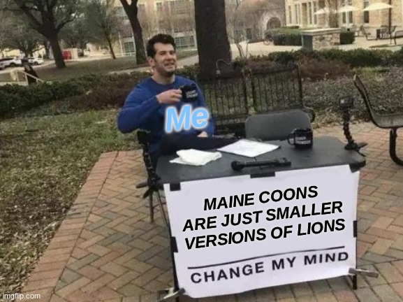 If you've seen a Maine Coon you know what I mean. | Me; MAINE COONS ARE JUST SMALLER VERSIONS OF LIONS | image tagged in memes,change my mind | made w/ Imgflip meme maker