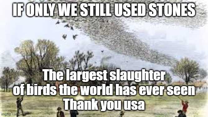 IF ONLY WE STILL USED STONES The largest slaughter of birds the world has ever seen
Thank you usa | made w/ Imgflip meme maker