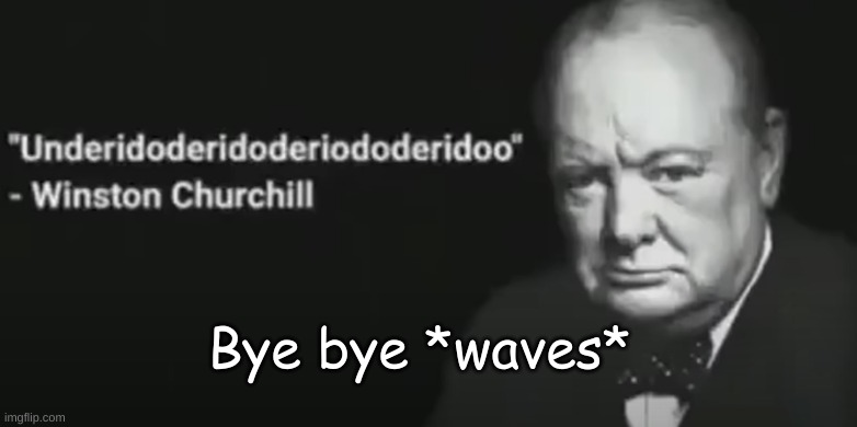 Wise words | Bye bye *waves* | image tagged in wise words | made w/ Imgflip meme maker