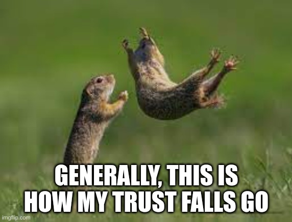 I'll Catch You | GENERALLY, THIS IS HOW MY TRUST FALLS GO | image tagged in i'll catch you | made w/ Imgflip meme maker
